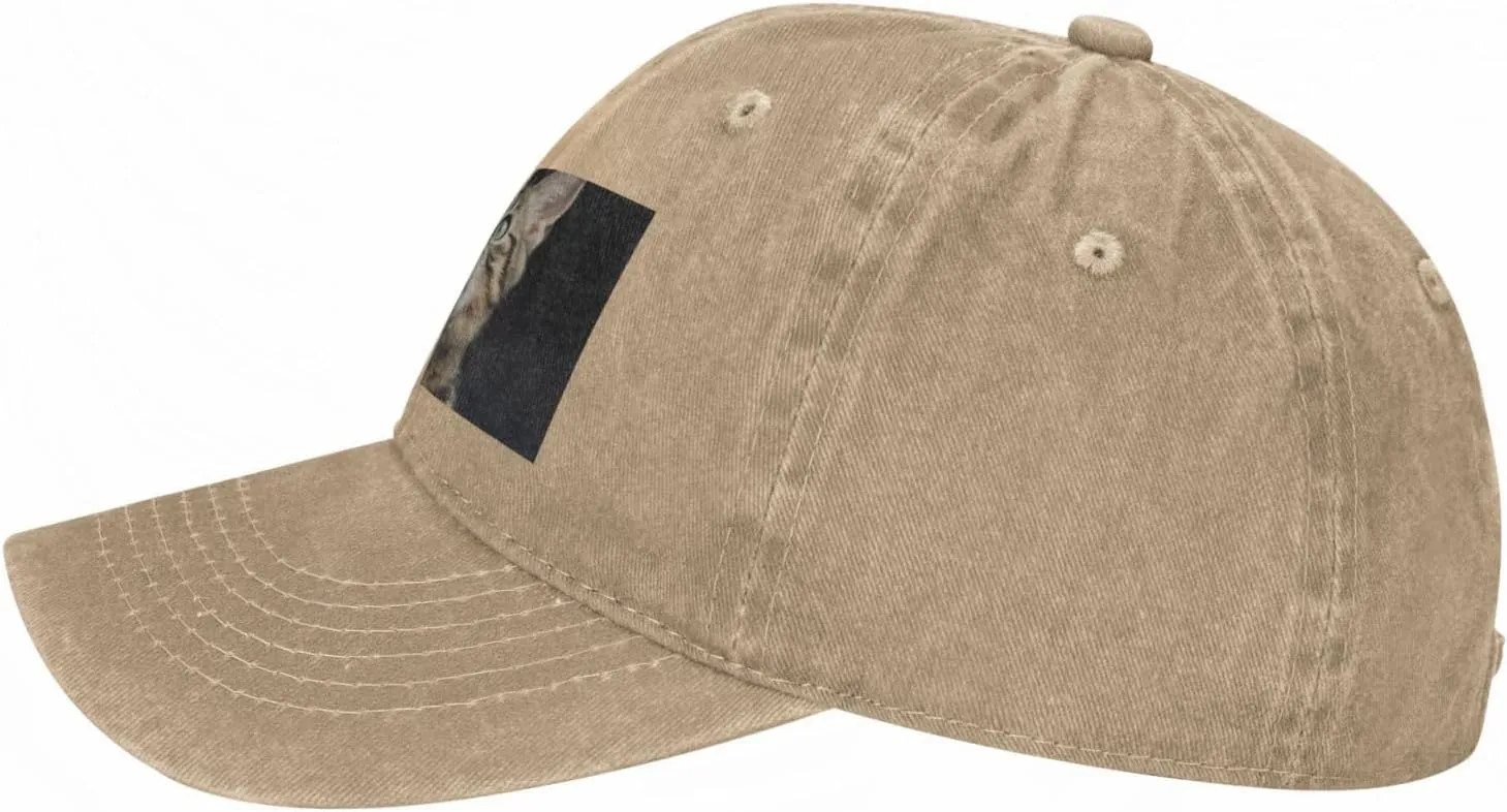Cat Unisex Baseball Cap Breathable Cotton Trucker Hat Classic Denim Dad Hat Summer Sun Hat