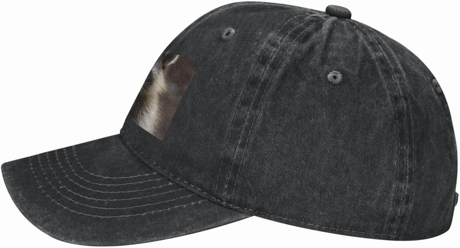 Raccoon Unisex Baseball Cap Breathable Cotton Trucker Hat Classic Denim Dad Hat Summer Sun Hat